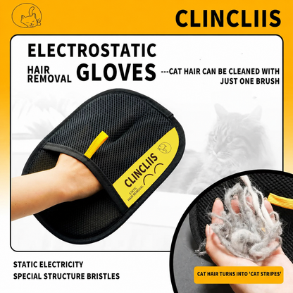 CLINCLIIS Pet Hair Remover Glove for Cats & Dogs, Reusable Lint Remover for Couch, Carpet & Clothes